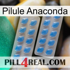Anaconda Pill 23